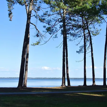 Joli T3 A Avec Terrasse, Jardin Privatif, Parking Et Wifi - Proche Et Foret - Fr-1-877-44 דירה *